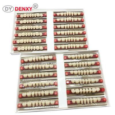 Denxy Dental False Teeth Dental Synthetic Teeth Dental Acrylic Resin Teeth