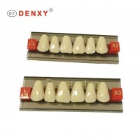 Denxy Dental European Quality Three Layer Dental False Teeth Dental Synthetic Teeth Dental acrylic resin teeth