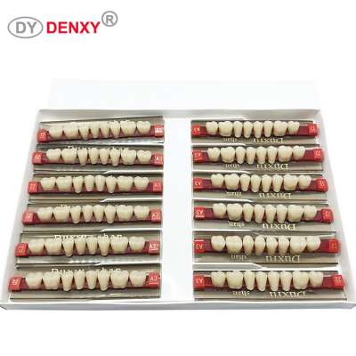 Denxy Top sale multi-Layer dental synthetic resin teeth